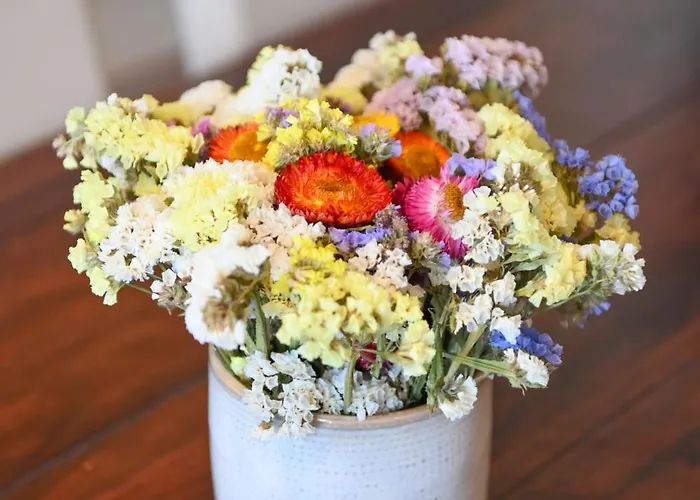 Casa de Férias Lily