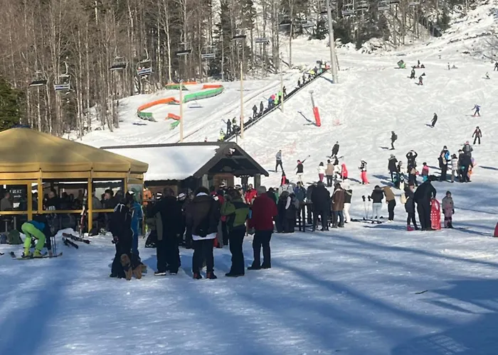 Lily Casa de Férias *